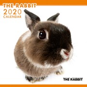 CL-1138 [2020年カレンダー THE RABBIT]