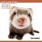CL-1139 [2020年カレンダー THE FERRET]