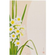 限定 寒中はがき 3枚入 水仙 KPC-029