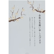 限定 余寒おみまい 3枚入 白梅 KPC-035