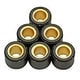 ウエイトローラーシグナスX 10g 6個入 802805