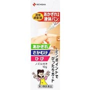 あかぎれ保護液体バン 10g [第3類医薬品 絆創膏]
