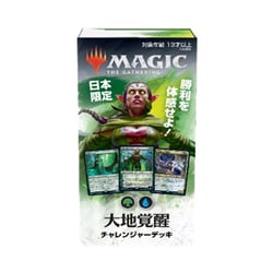 開封済　チャレンジャーデッキ　4種セット チャレンジャーデッキ2020 全4種セット (Used) （1370954033