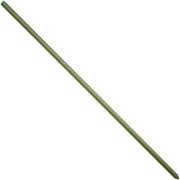 イボ竹支柱 20x1200mm 10本入り