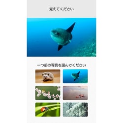 ヨドバシ.com - 任天堂 Nintendo 東北大学加齢医学研究所 川島