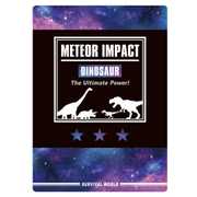 限定 下敷き/METEOR IMPACT 24940