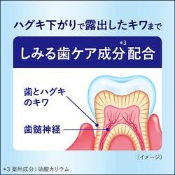 ヨドバシ.com - ピュオーラ ピュオーラ GRAN（グラン） 薬用ハミガキ