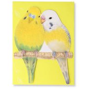 限定 多目的カード ハッピーメイト ふわふわインコ EAP-770-563