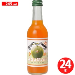 夕張メロンサイダー 245ml×24本