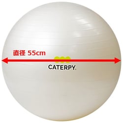 CF-007 [フィットネスボール55cm （パールホワイト）]