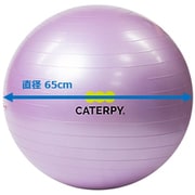CF-010 [フィットネスボール65cm （バイオレット）]