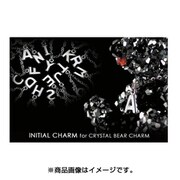 HA175-01 [イニシャルチャーム クリスタルベア シルバー D]