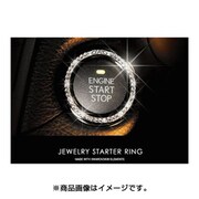 SA916-01 [ジュエリースターターリング TYPE-D]