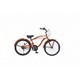 子ども用自転車 22インチ Feeling of Decks 22 Woody