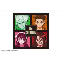 ヨドバシ Com カナリア Dr Stone マイクロファイバーハンドタオル 01 千空 大樹 杠 司 キャラクターグッズ 通販 全品無料配達