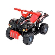 TR1305-BK [電動乗用バギーTR 黒]