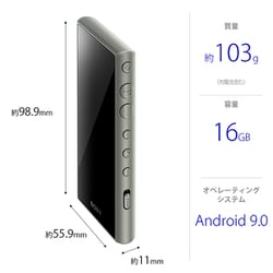 ヨドバシ.com - ソニー SONY NW-A105 GM [ポータブルオーディオ