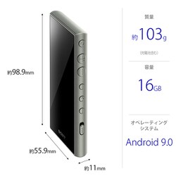 ヨドバシ.com - ソニー SONY NW-A105HN GM [ポータブルオーディオ