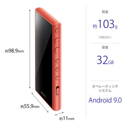 ヨドバシ.com - ソニー SONY NW-A106 DM [ポータブルオーディオ