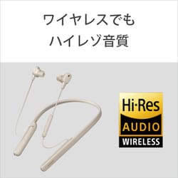 ヨドバシ.com - ソニー SONY WI-1000XM2SM [ワイヤレスノイズキャンセ