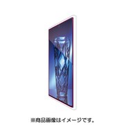 フルカバーガラスフィルム/ブルーライトカット/0.33mm/ブラック PM-GN10PFLGGBLB