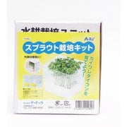 スプラウト栽培キット カイワレダイコン 夏工