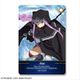 Fate/Grand Order 絶対魔獣戦線バビロニア レザーパスケース 8 アナ [キャラクターグッズ]
