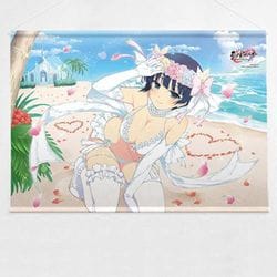 ヨドバシ.com - カーテン魂 シノビマスター 閃乱カグラ NEW LINK B2