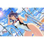 シノビマスター 閃乱カグラ NEW LINK タオルケット 凛 [キャラクターグッズ]