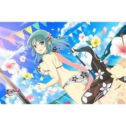 ヨドバシ.com - カーテン魂 シノビマスター 閃乱カグラ NEW LINK