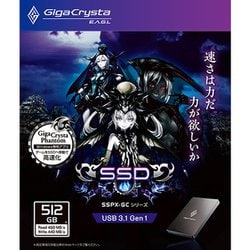 ヨドバシ.com - アイ・オー・データ機器 I-O DATA SSPX-GC512G [Giga