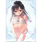 俺を好きなのはお前だけかよ クリアファイル 水着 [キャラクターグッズ]