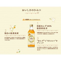 キリン 杏露酒 500ml 6本 送料無料 KIRIN 梅酒 和リキ 長S