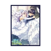 クロックワークス スリーブコレクションVol.37 精霊幻想記 B [トレーディングカード用品]