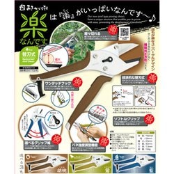 国産品 みきかじや村 - ヨドバシ.com 楽なんです 胡桃(くるみ 剪定 メンテナンス
