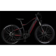スポーツ電動アシスト自転車 FAT-E BIKE 26×4.0 10段変速 36V10.4Ah BK/RE LB-MTB001
