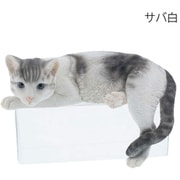 ベニーズキャット だらーん（サバ白） QY-79