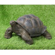 ゾウガメ トータス 小 QY-090