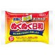 ホッカイロ ぬくぬく日和 貼るタイプ レギュラー 10個 [カイロ 貼るタイプ]