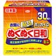 ホッカイロ ぬくぬく日和 貼るタイプ ミニ 30個 [カイロ 貼るタイプ]