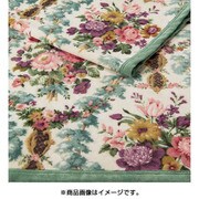 シール織綿毛布(毛羽部分) シングルサイズ(140×200cm) ベージュ FQ08101009