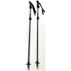 ヨドバシ Com ザッソウ Zasso Zasso Ski Pole 19 cm スキー ストック 伸縮式 通販 全品無料配達