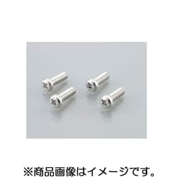 ナベコネジ（ステンレス）4X55/2PC 0900-042-00007