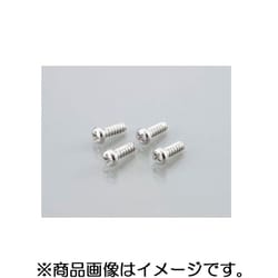 タッピングビス（ステンレス） 4X20/4PC 0900-046-00006