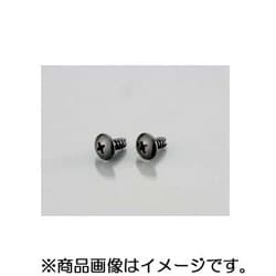 トラスタッピングビス（クロ/クロメート） 4X12/2PC 0900-046-09102
