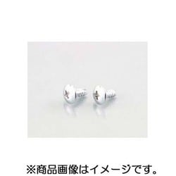 トラスタッピングビス（クローム） 4X10/2PC 0900-046-09201