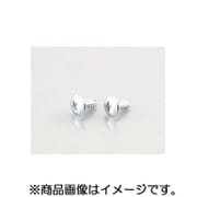 トラスタッピングビス（クローム） 4X10/2PC 0900-046-09201