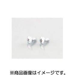 トラスタッピングビス（クローム） 4X14/2PC 0900-046-09203