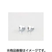 トラスタッピングビス（クローム） 4X14/2PC 0900-046-09203