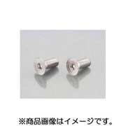 皿キャップボルト(ステンレス) 5X15/2PC 0900-050-30003